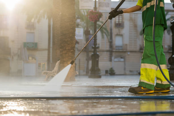 Best Roof Cleaning and Mildew Removal in Portsmouth, VA